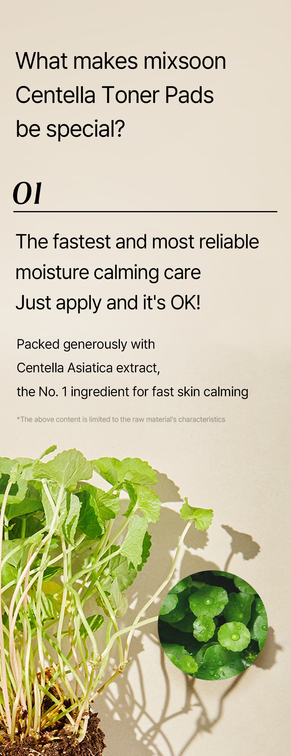[MIXSOON] Centella Toner Pad 120ea