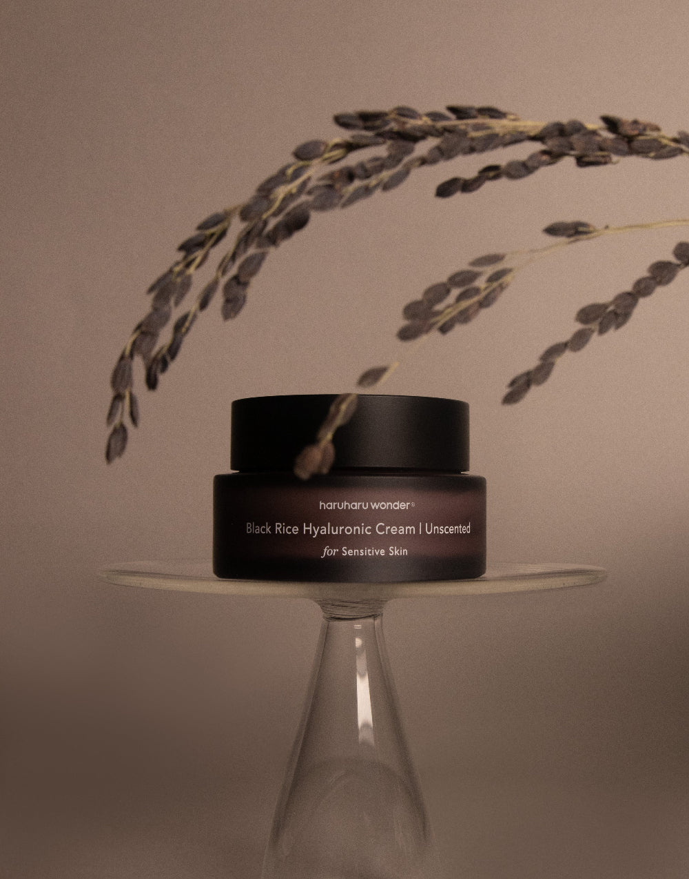 [haruharu wonder] Black Rice 10 Hyaluronic Cream 50ml (Unscented)