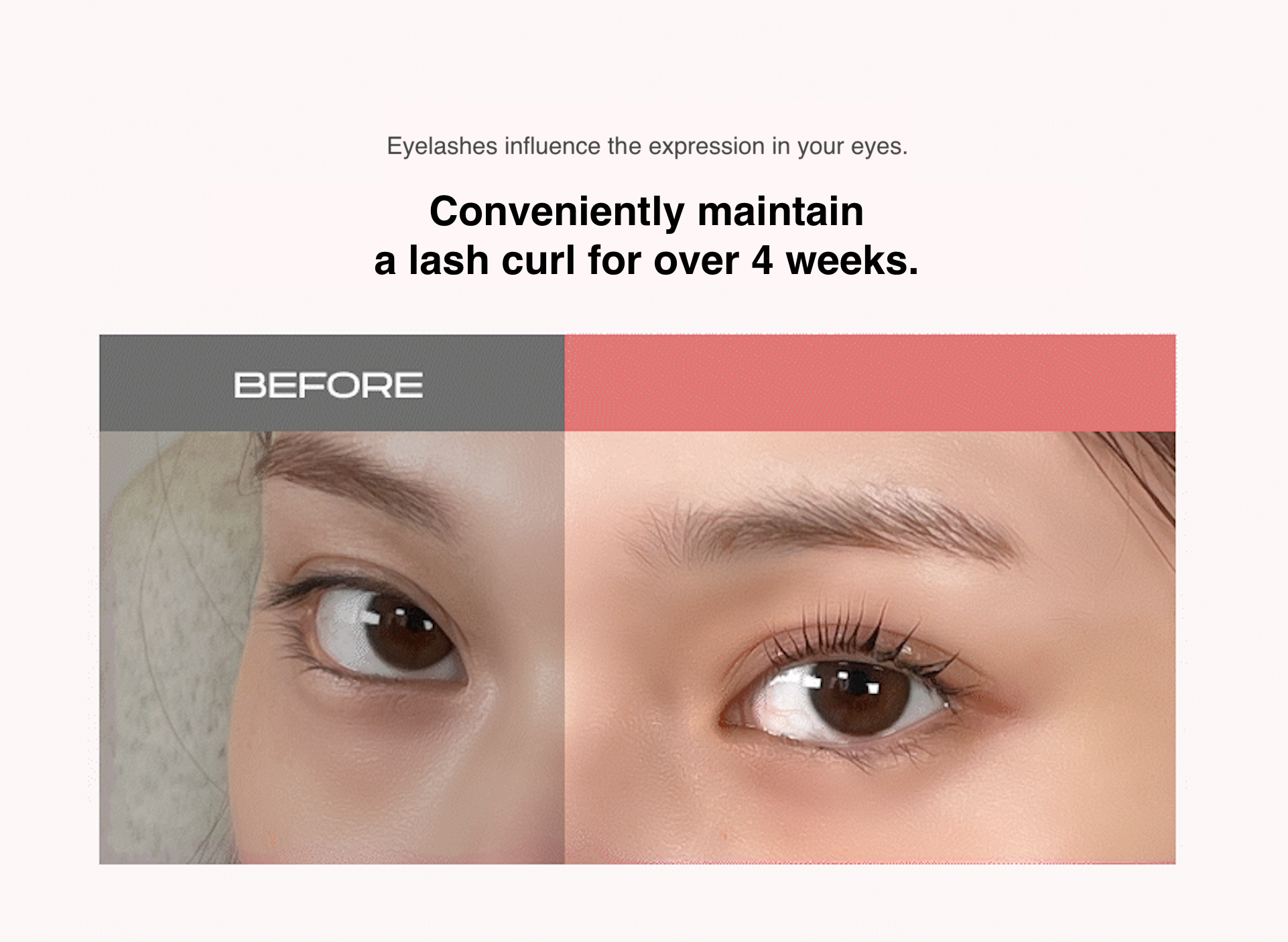 [ENTROPY] Self Lash Perm 30g