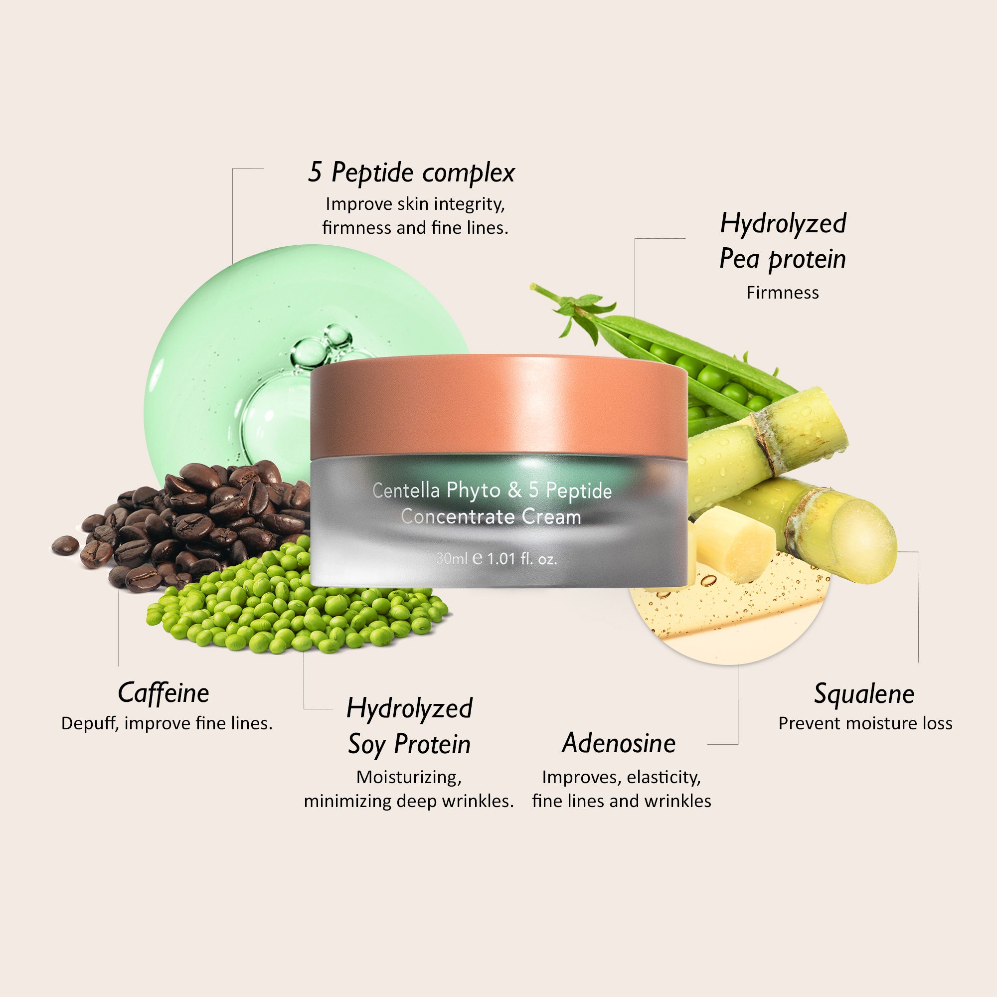 [haruharu wonder] Centella Phyto & 5 Peptide Concentrate Cream 30ml + Refill 30ml